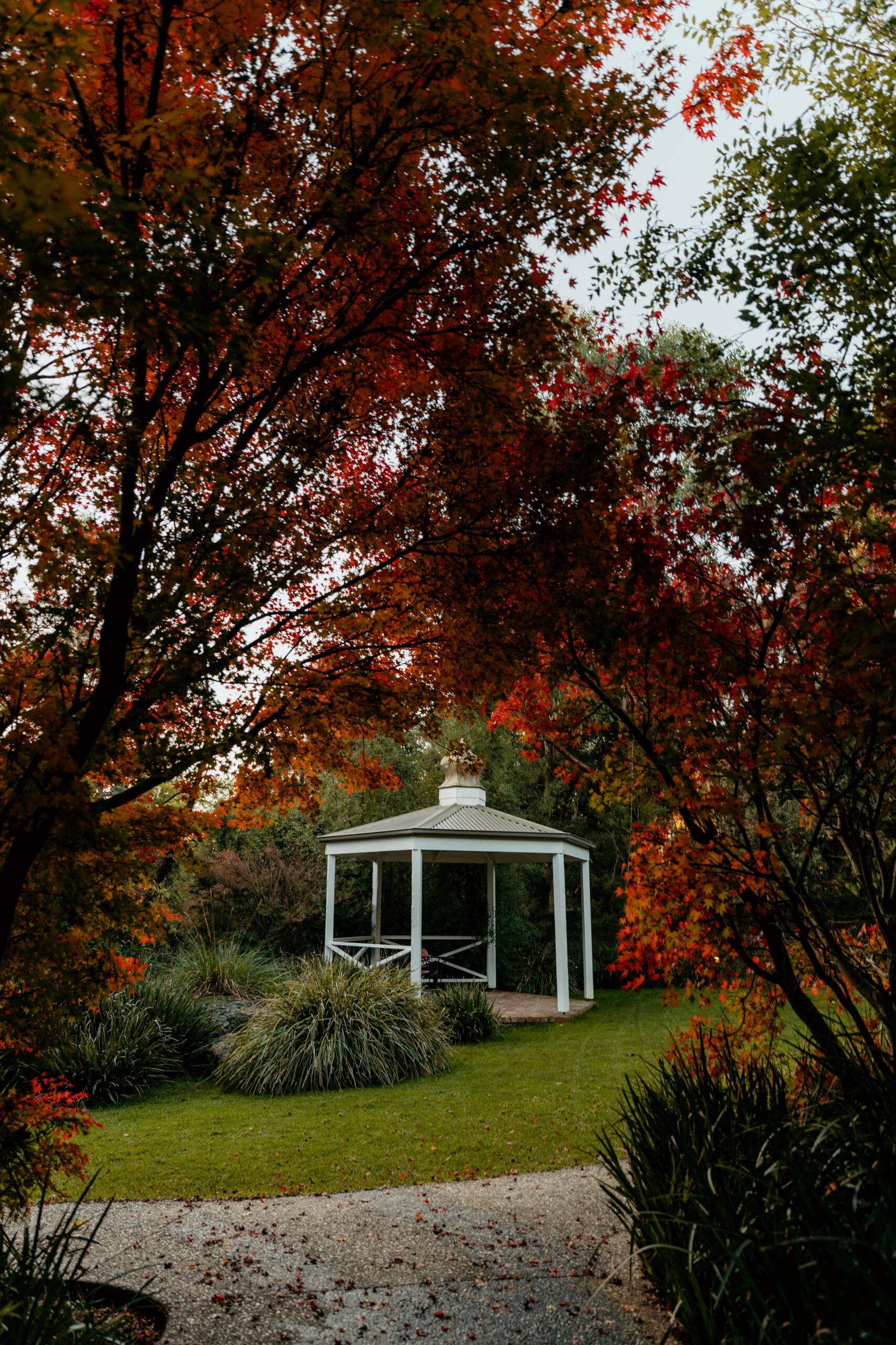 0Q1A0620 autumn wedding venue